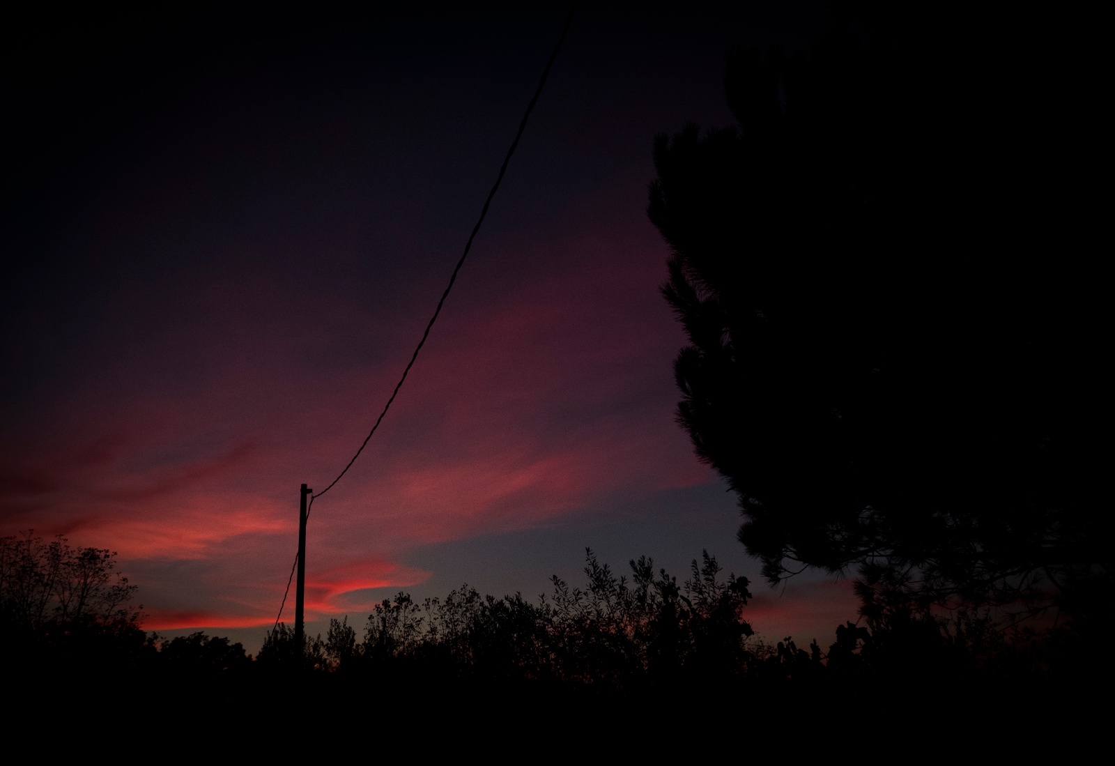 DSCF5230